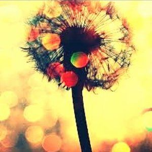 Meet your Posher, Marys